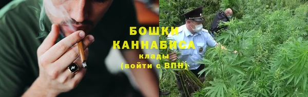 стаф Балахна