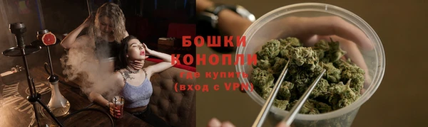 стаф Балахна
