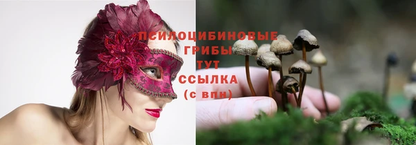 стаф Балахна