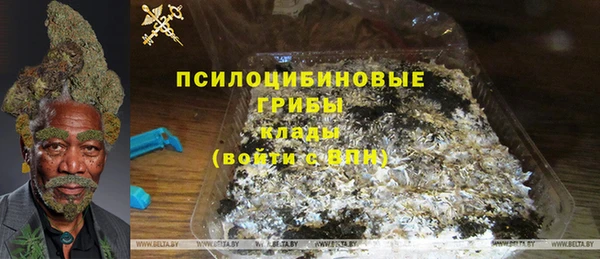 стаф Балахна
