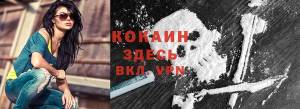 стаф Балахна