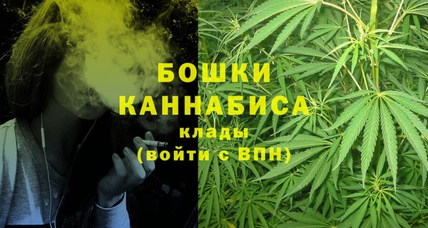 стаф Балахна