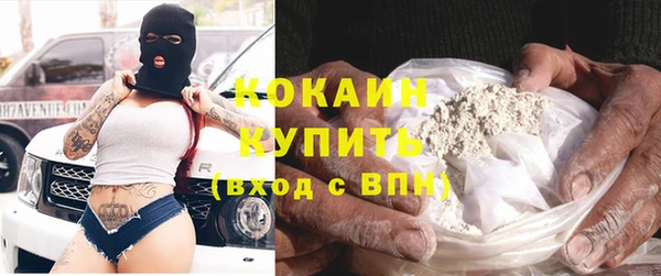 стаф Балахна