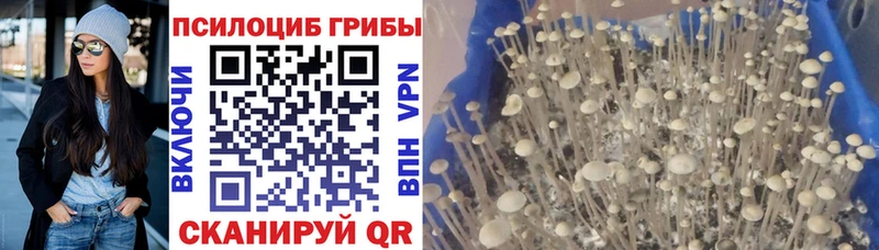 MEGA вход Краснообск Галлюциногенные грибы мухоморы закладки